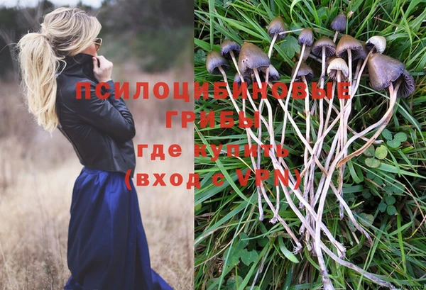 соль ск Абинск