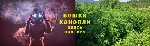 PSILOCYBIN Нея